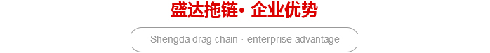 圣達(dá)企業(yè)優(yōu)勢